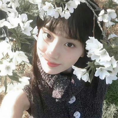 房车奇遇